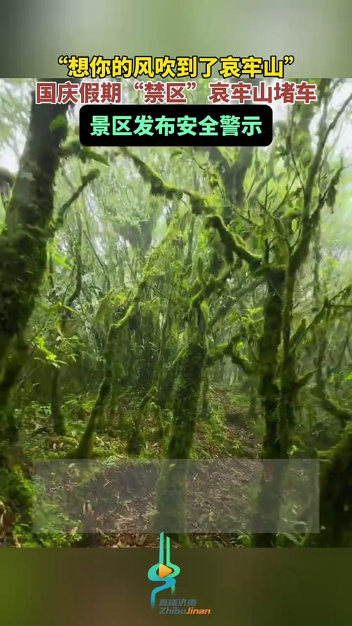 “景区”“禁区”当分明，才能让想你的风真正吹到哀牢山