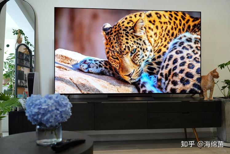 lg电视故障报修电话