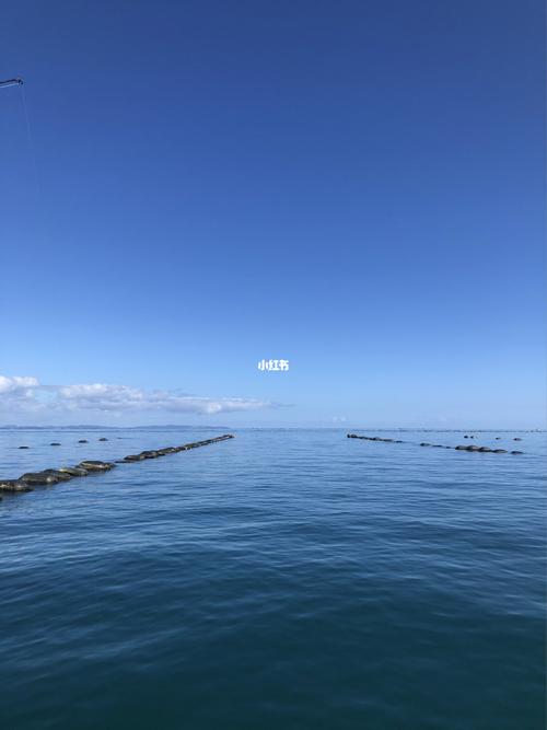 海天一色,蓝色粮仓!假期去大海,体验“蓝”色消费新场景