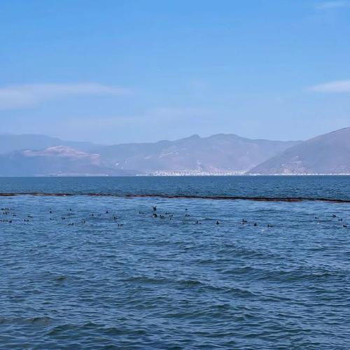 海天一色,蓝色粮仓!假期去大海,体验“蓝”色消费新场景