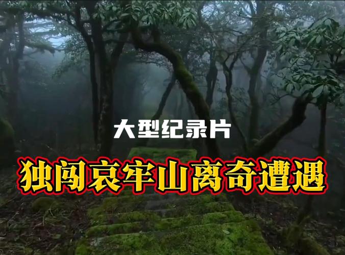 排查、劝离!当地管护局回应女博主露营哀牢山