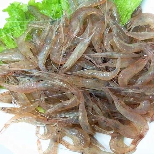 假日走基层丨鱼肥虾美 “新鲜”出天山