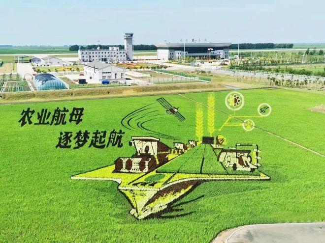 从一座博物馆,感受稻田逐梦的力量