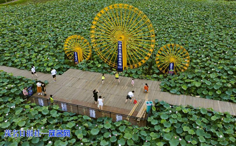 (乡村行·看振兴)山西昔阳:农文旅融合火出圈 国庆假期迎40万游客打卡