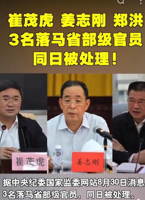 节后打“虎”,正省部级高官被查