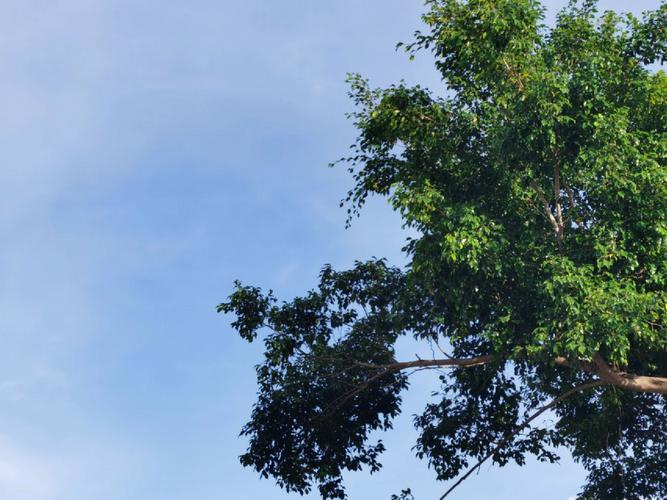 广东仍是夏天 羊城今年夏季日数超200天