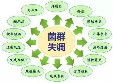 肠道菌群供体全部来自985、211大学生?谨防掉入消费陷阱