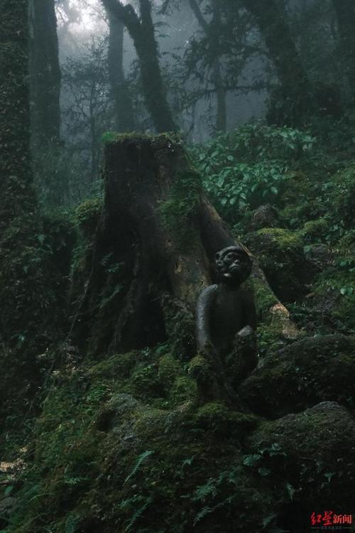 哀牢山有何“神秘”?当地文旅局:原始森林气候多变,陌生区域工作人员也需护林员带领