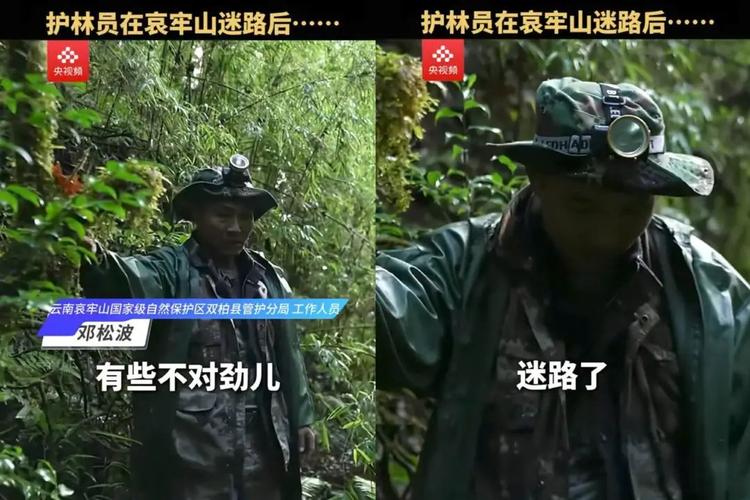哀牢山有何“神秘”?当地文旅局:原始森林气候多变,陌生区域工作人员也需护林员带领