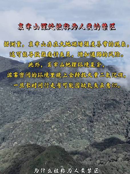哀牢山真的是“禁区”吗?热文作者回应、专家解读——