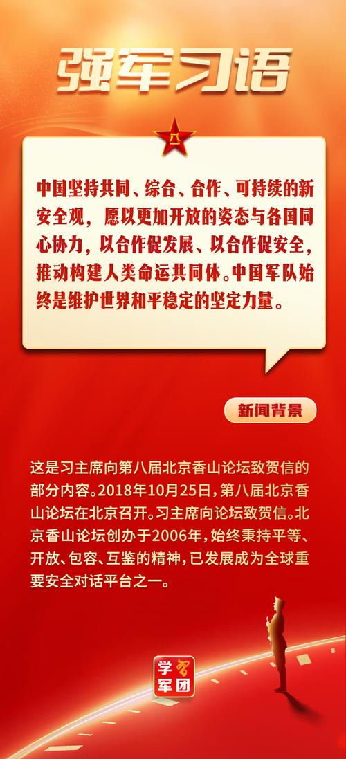 为维护世界和平稳定贡献中国力量