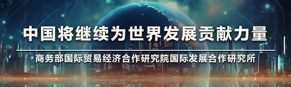 为维护世界和平稳定贡献中国力量