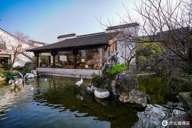 传统活动、特色餐饮添彩住宿体验!国庆假期松江酒店入住火爆