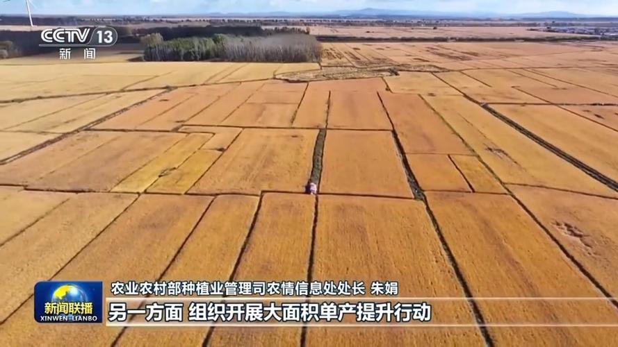【在希望的田野上】全国秋粮收获过半 有望再获丰收