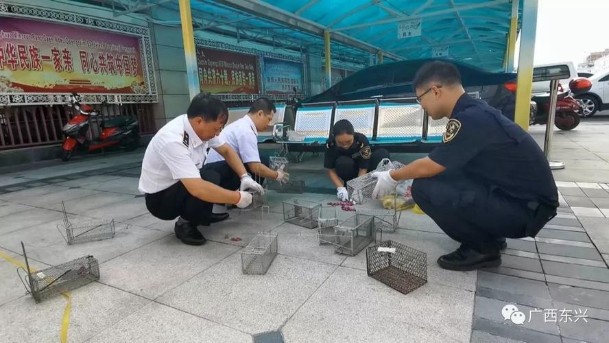 中越“两国四方”海关就推动智慧口岸建设等达成新共识