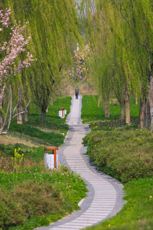 假期第五天,北京市属公园游客平稳回落,游客可“秋赏春花”
