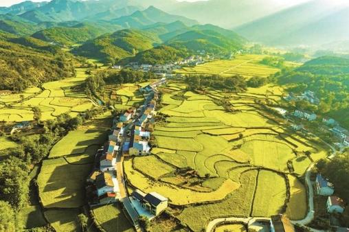 (乡村行·看振兴)江西彭泽:探索强村富民新模式 激发共建共富新动能