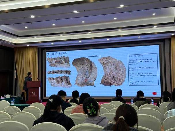 欧亚大陆首次发现北美灌木牛化石