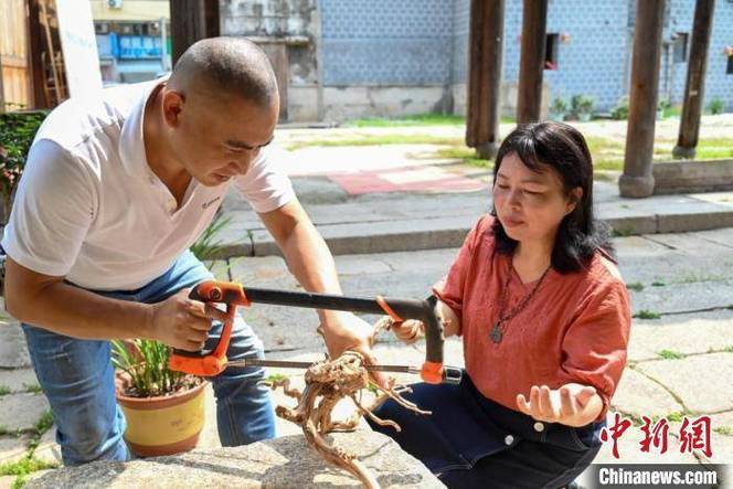 福建蕉城:“自然+匠心”成就独特根书艺术