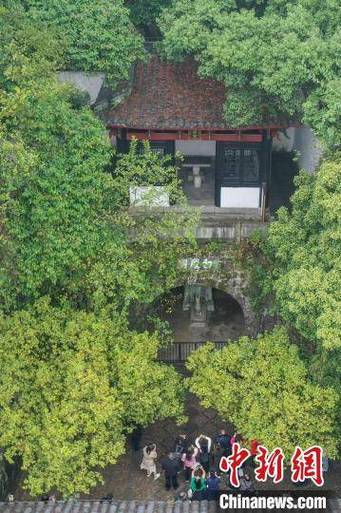 海外华文媒体访江西庐山:千年文脉悠长
