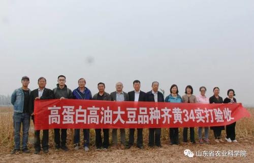今年来泉州肖厝口岸黄大豆进口大幅度增长