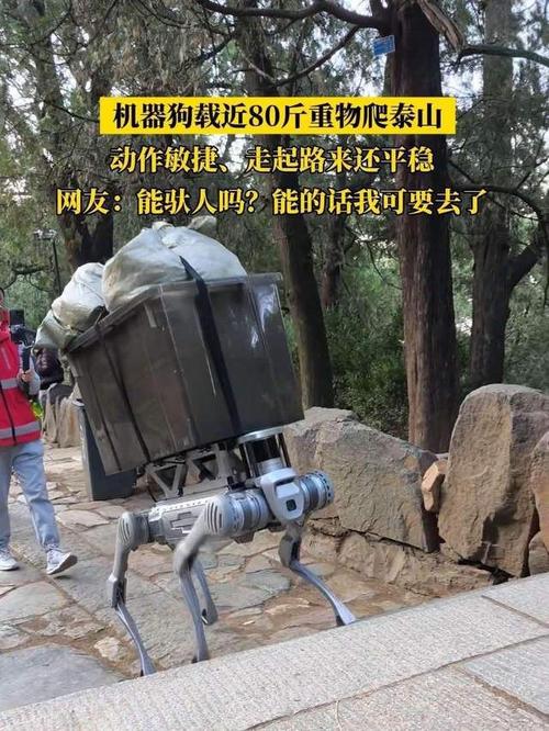 机器狗预备上岗 机器人时代要担心岗位被替代吗?