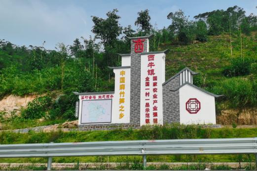湖南零陵做强“一村一品”特色产业振兴乡村