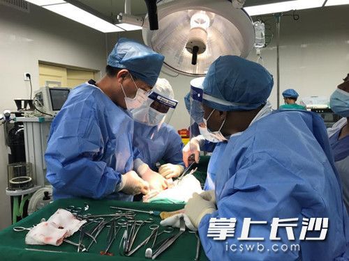 医生和患者相隔万里 手术竟能这样进行→