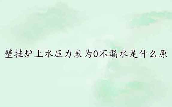 壁挂炉水压表故障