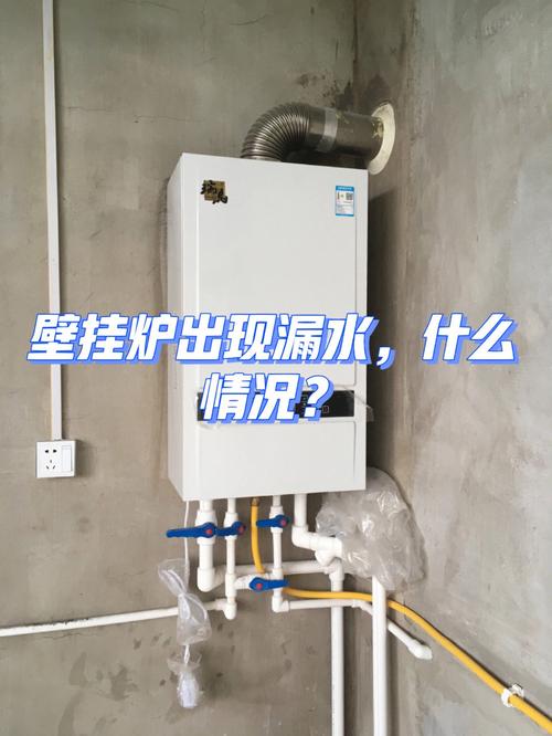 壁挂炉故障照片揭示了什么问题?