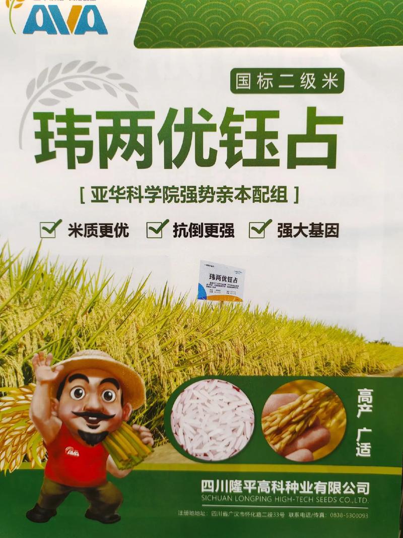 电视故障1901的原因