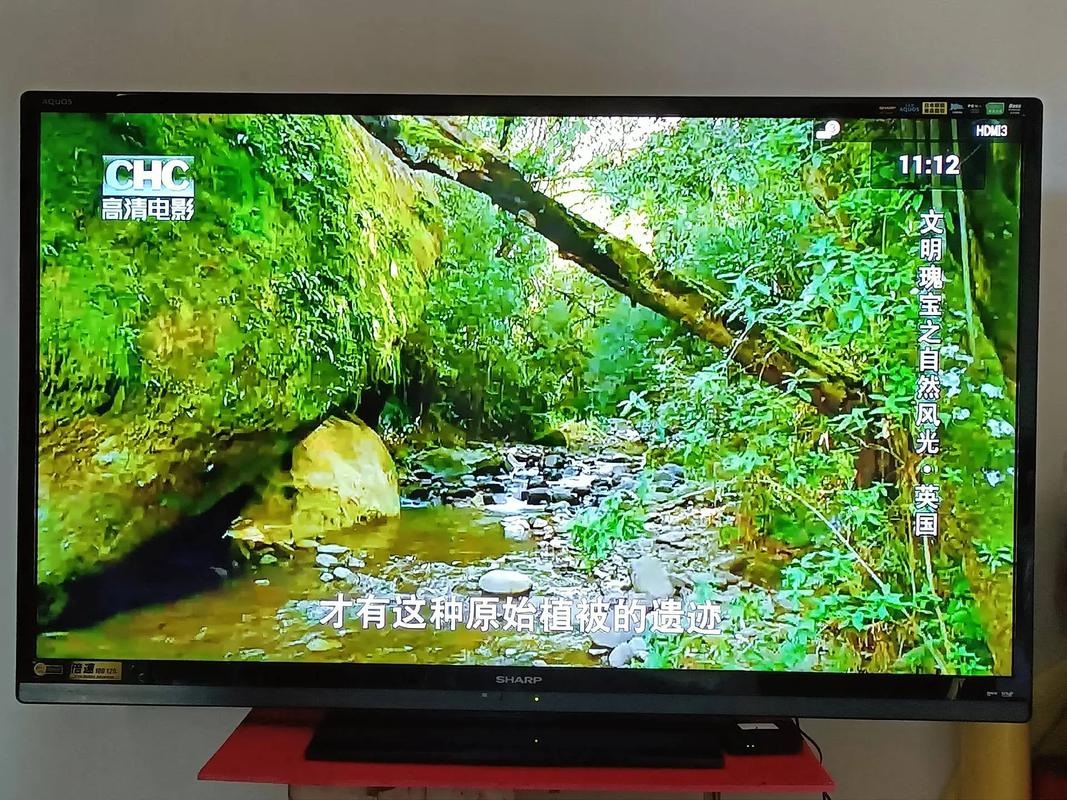 夏普电视故障保护取消