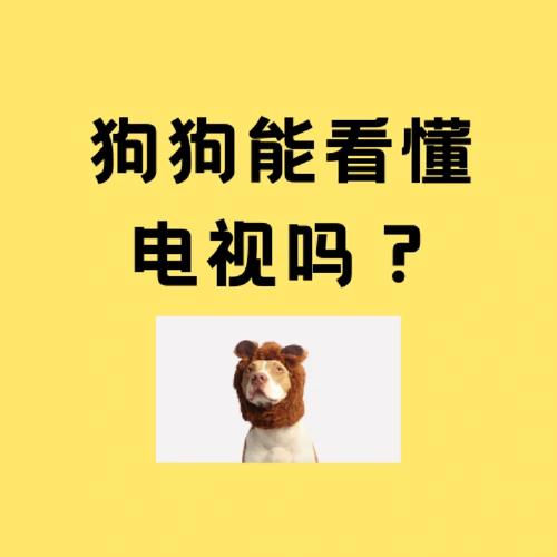 狗狗电视故障大全大全