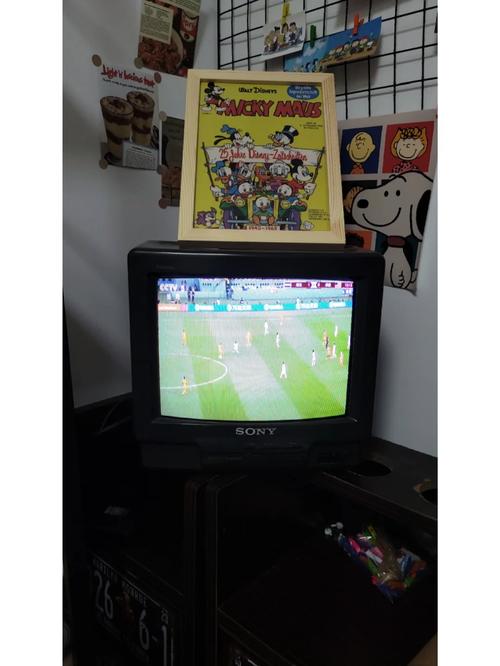 sony 电视 特丽珑 黑白 故障