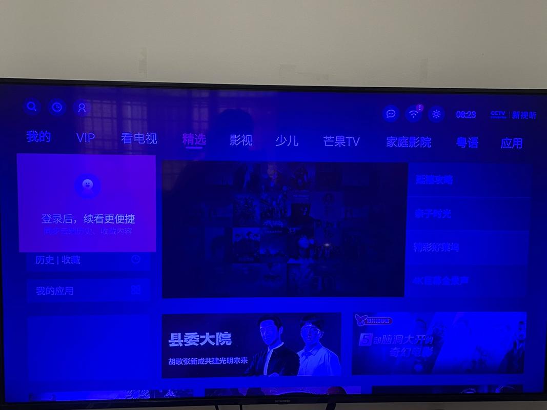 电视蓝屏哪里出故障