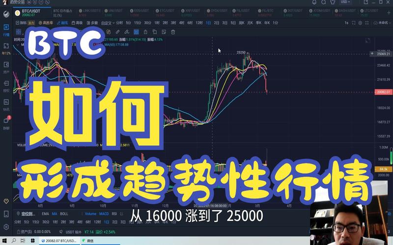 BTC插针暴力洗盘,长期持有者出货为牛市「标配」?