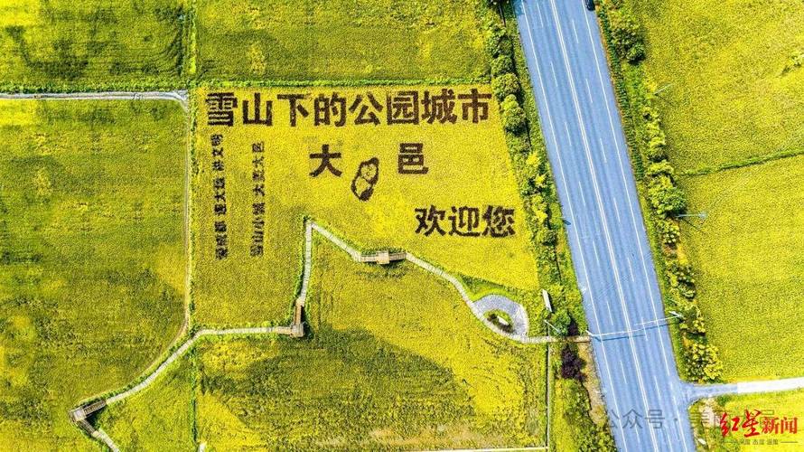 成都大邑召开产业园区高质量发展大会,这三个产业园目标定了