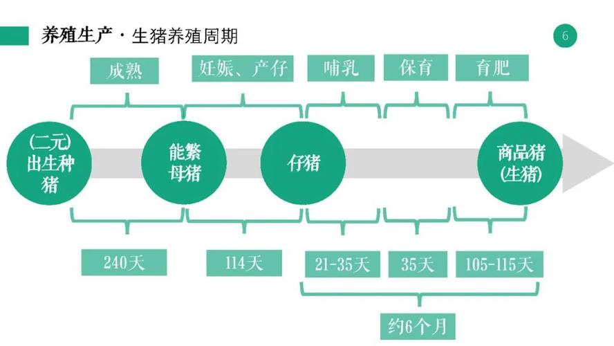 2024年柴达木枸杞全产业链产值达150亿元