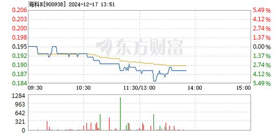 嘉麟杰12月17日盘中跌幅达5%