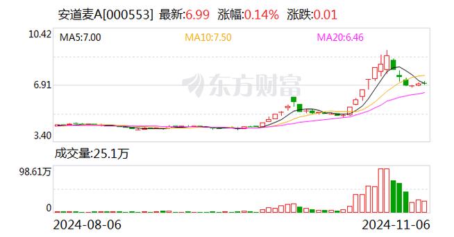安道麦A12月20日快速反弹