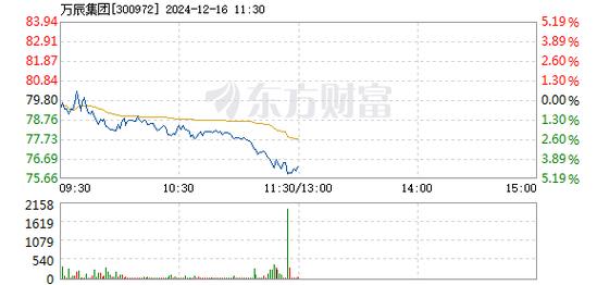 万辰集团12月17日盘中跌幅达5%
