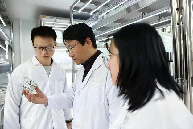 北大教授团队研究用植物攻克癌症