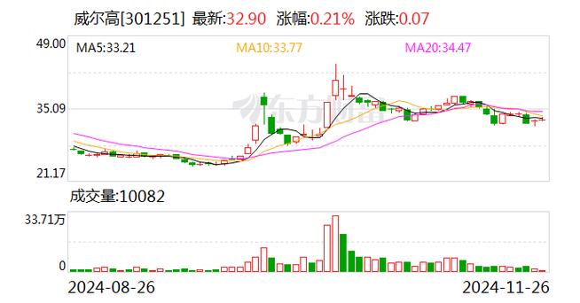 威尔高12月20日快速上涨