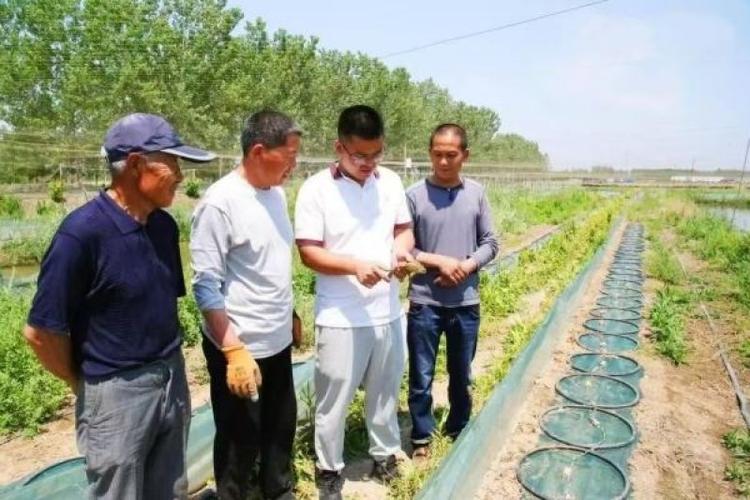 【好评中国·追光青年】“兴村新锐”为乡村发展注入青春动能