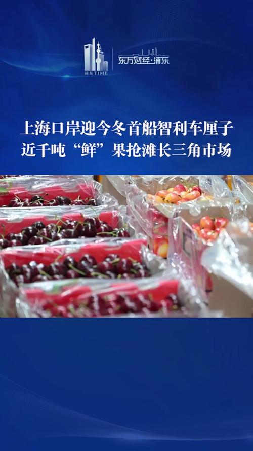 1.5万吨智利车厘子抵达上海洋山港_2