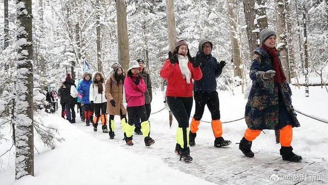 林海雪原景区回应“游客花三千订房入住时被要求加钱”:情况属实,停业整顿