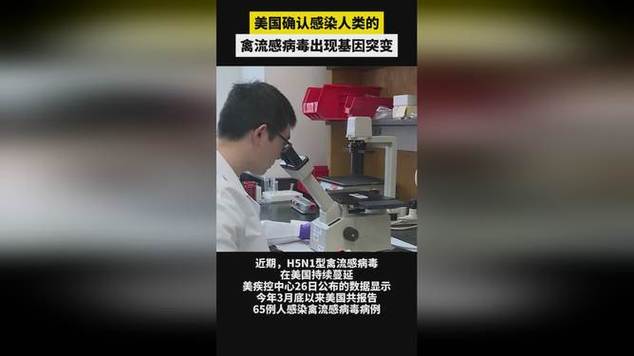 美国确认感染人类的禽流感病毒出现基因突变_2