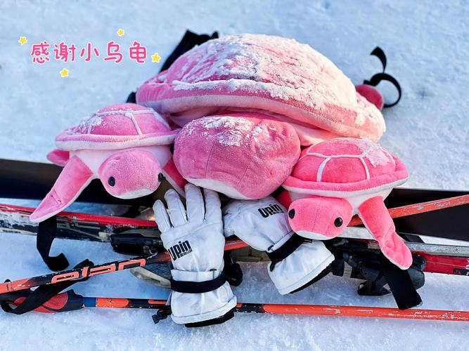 女子膝盖绑25只活体龟入境被查