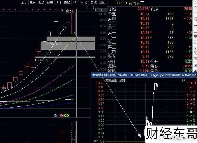 青岛金王1月6日快速反弹