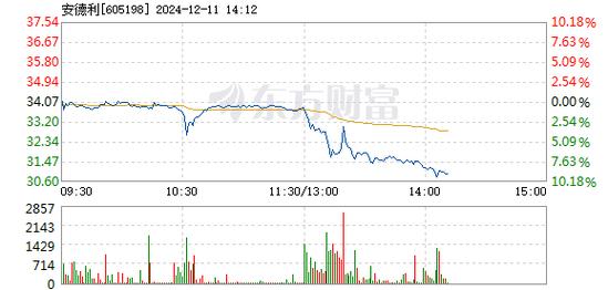 兴森科技12月31日盘中跌幅达5%